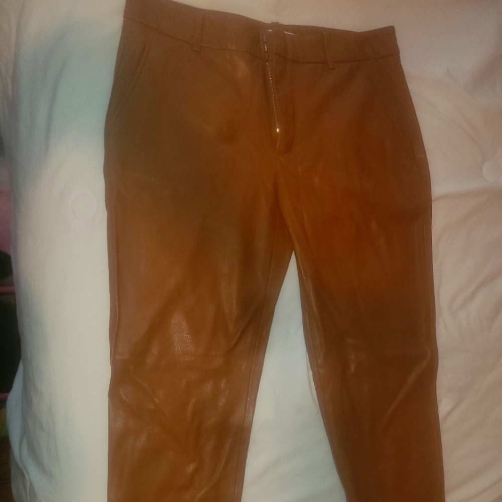 Zara pleather pants